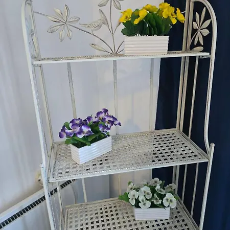 Luxury Apartament Gmina Pomorie