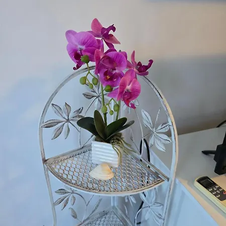 Luxury * ポモリエ